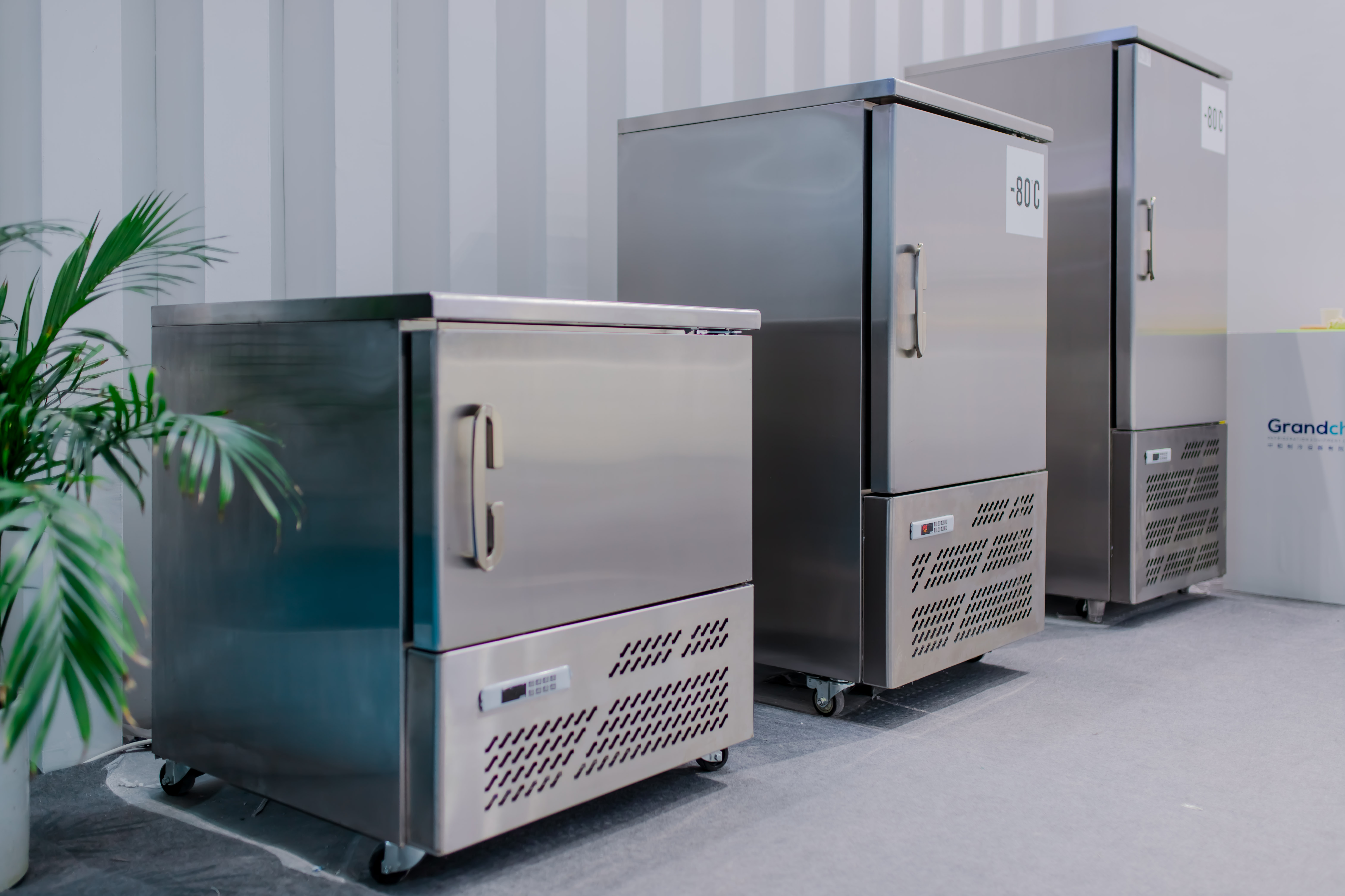Blast Chiller Freezer with Customized Temperature and Size 